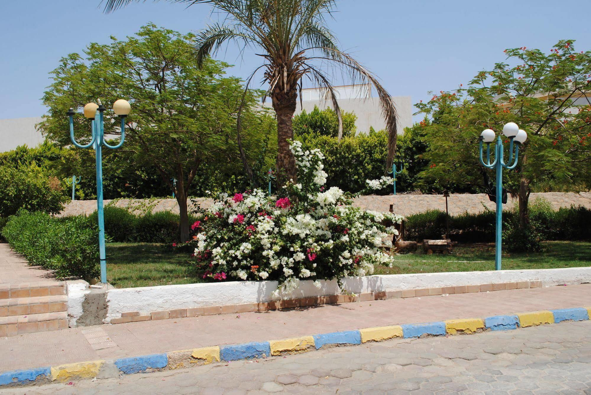 Sharm Cliff Resort Esterno foto